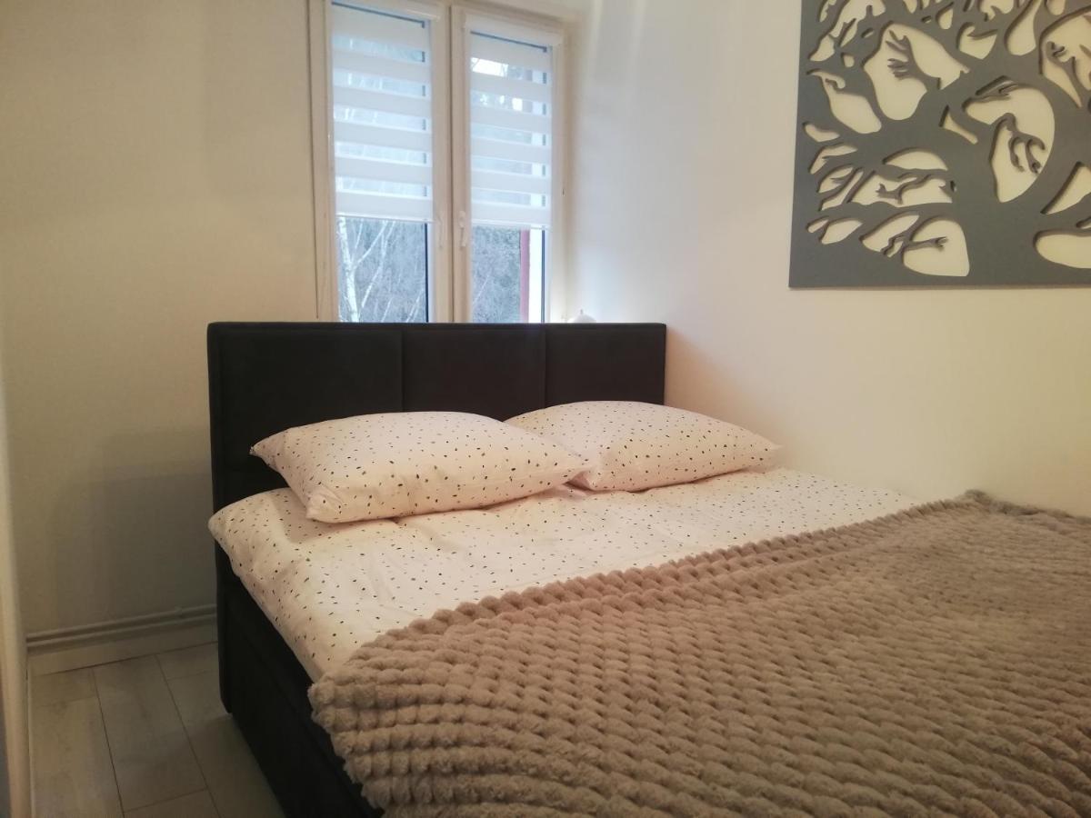 Apartament Stella Duszniki Zdroj Bagian luar foto