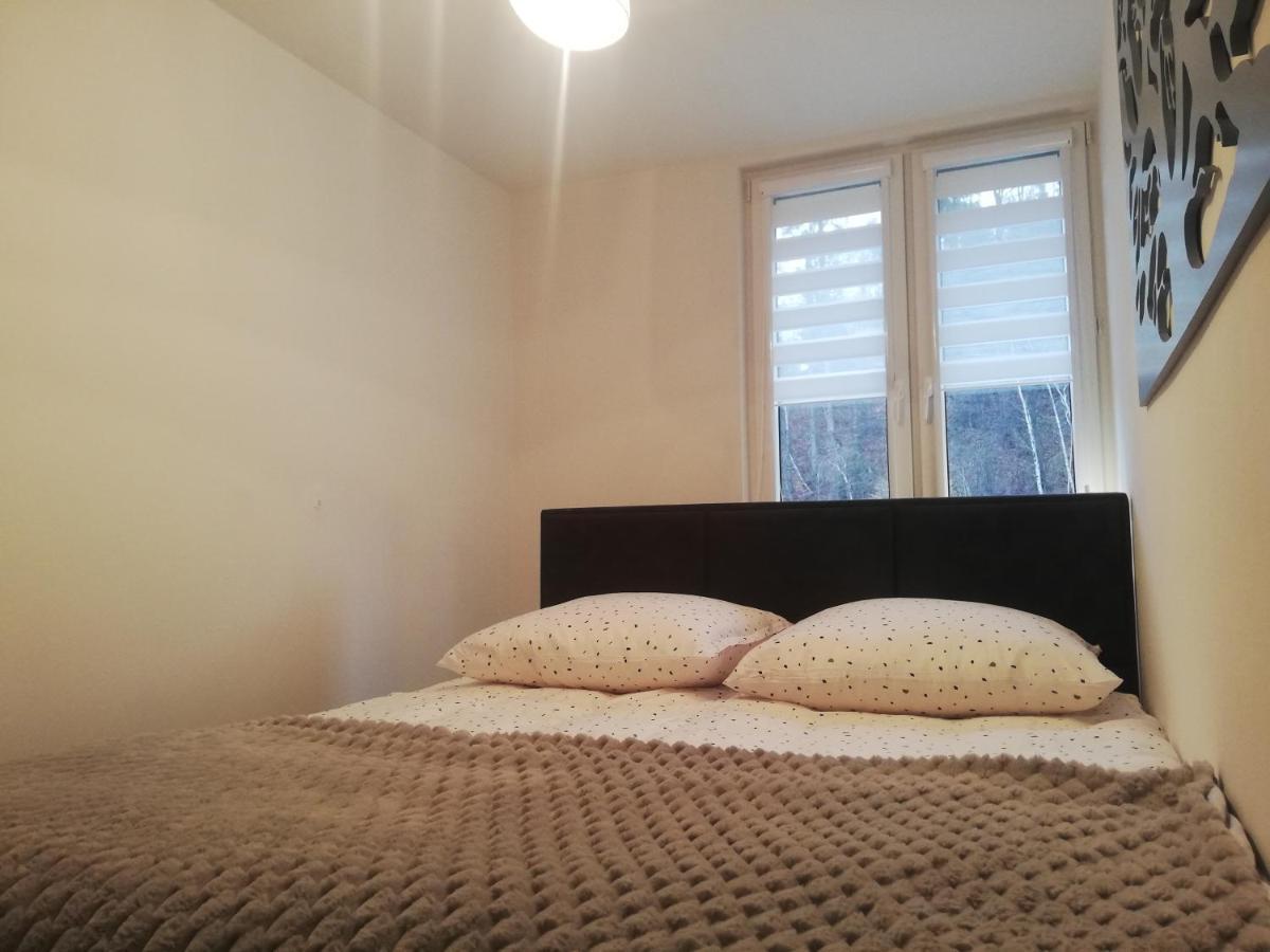 Apartament Stella Duszniki Zdroj Bagian luar foto