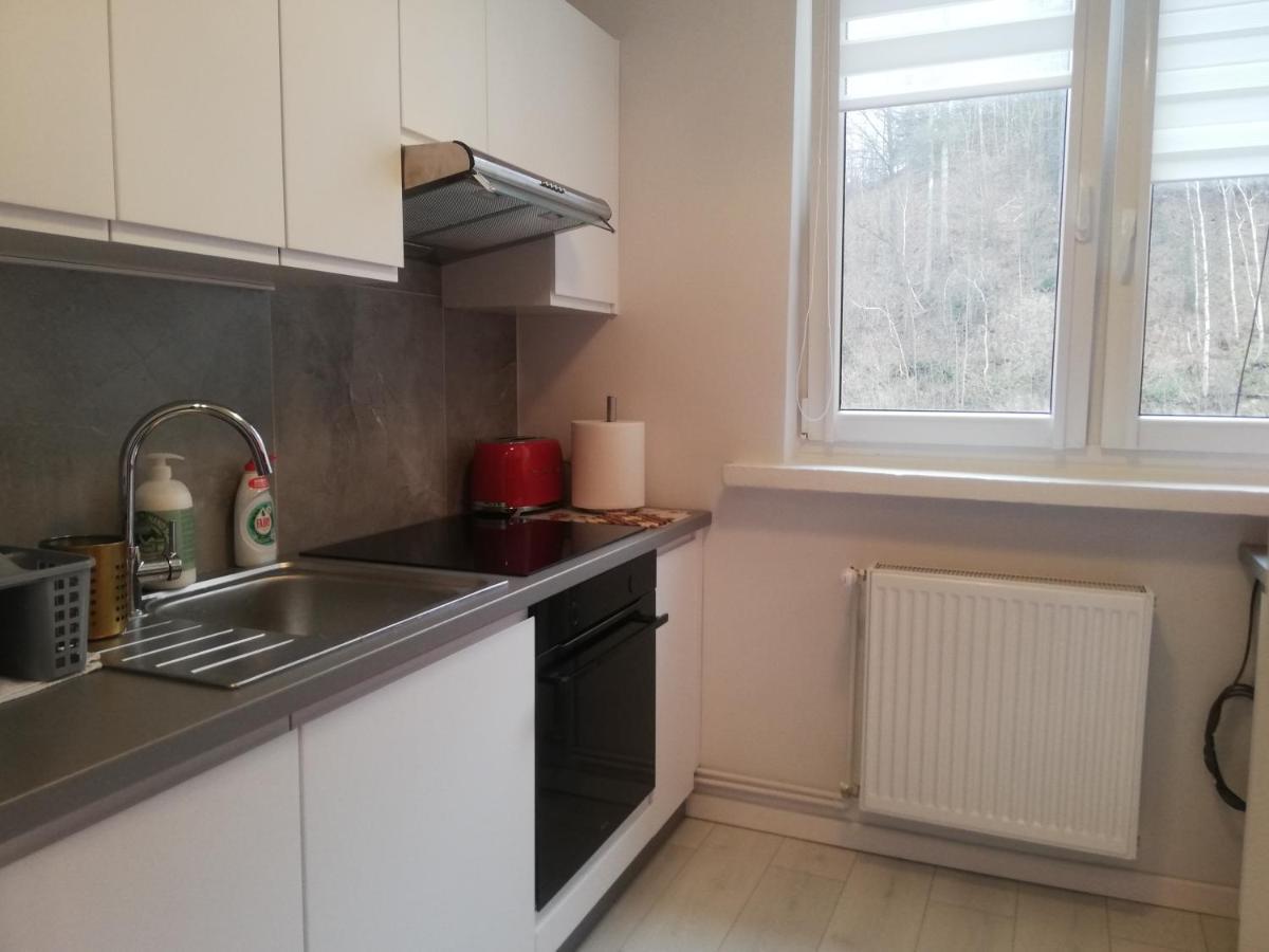 Apartament Stella Duszniki Zdroj Bagian luar foto